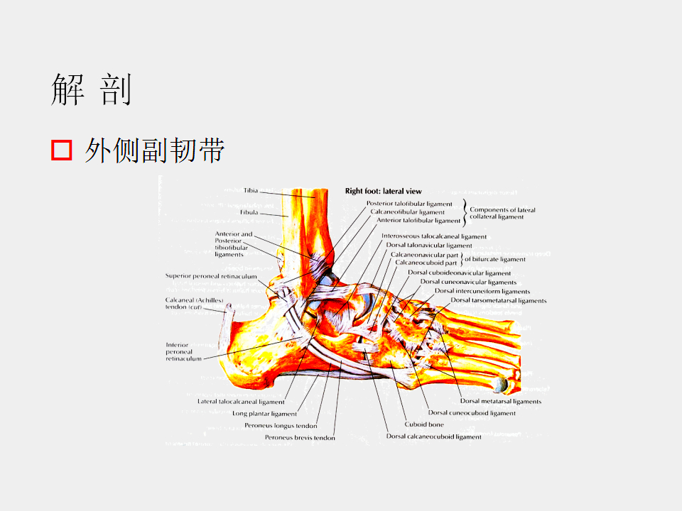 脚崴了怎么办判断是否骨折,脚崴了怎么办视频