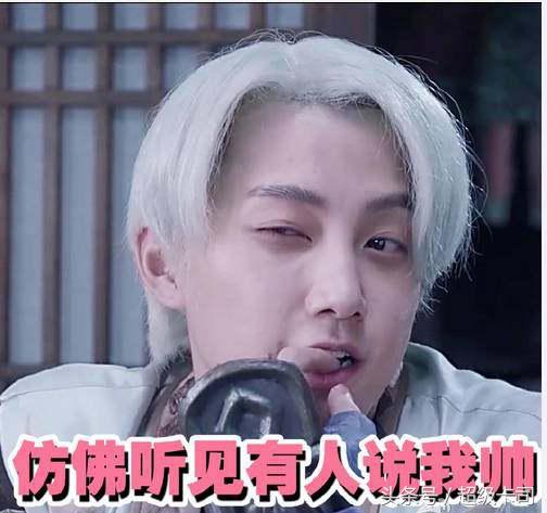 颜艺派代表什么,颜技派