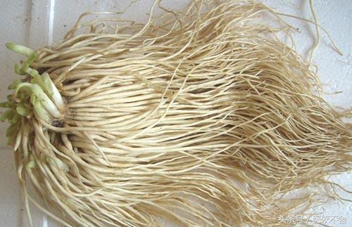 白带异味怎么处理小方法,白带异味吃什么药根治