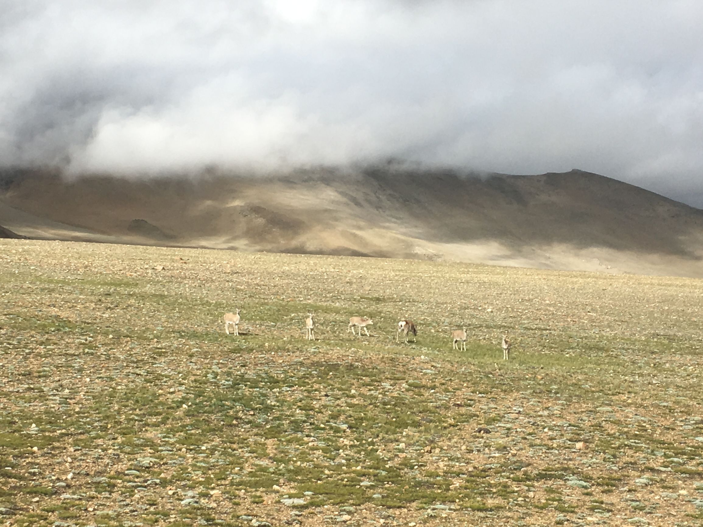 目前最难爬的山峰珠穆朗玛峰,什么山脉有世界最高峰珠穆朗玛峰