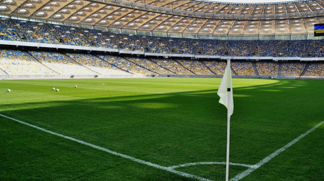 世界杯草坪是怎么样的,世界杯的草坪是怎样的