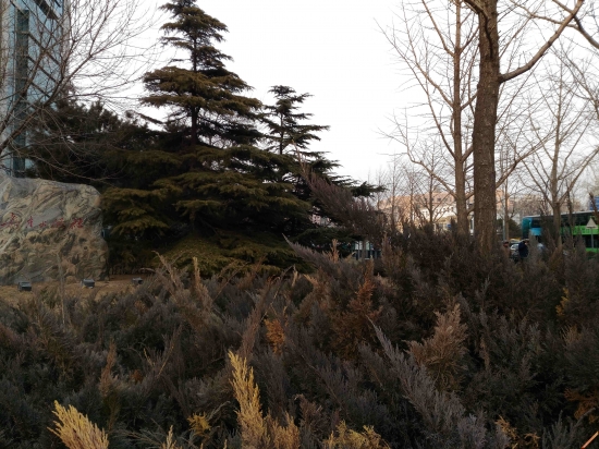 激光对焦大续航Zenfone电神5000评测