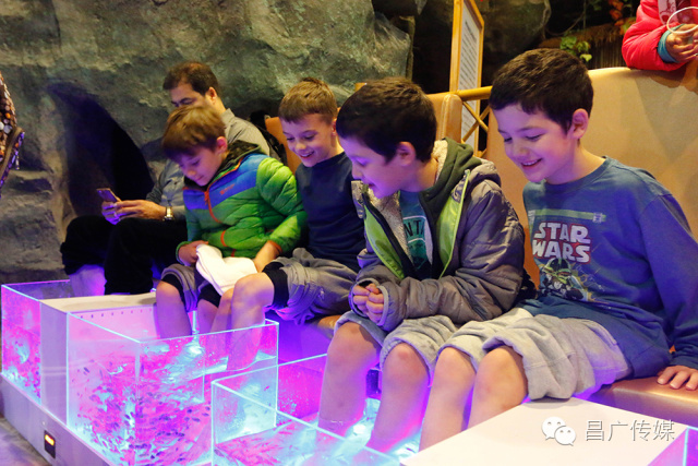 外国人北京印象,外国人眼中的北京故宫