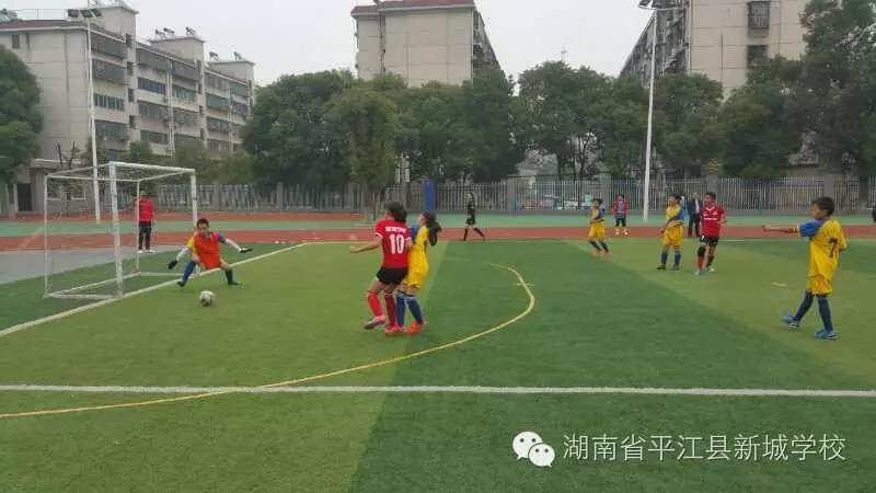 秦汉新城首届小学生足球联赛冠军,岳阳市中小学生足球联赛