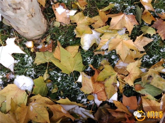 中兴天机7max吃鸡,中兴天机axon7max参数