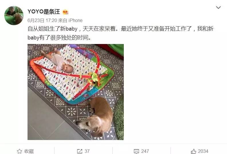 大咖记｜高情商梓琳怎么处理家庭“内斗”：YoYo和胖妹开始争宠啦