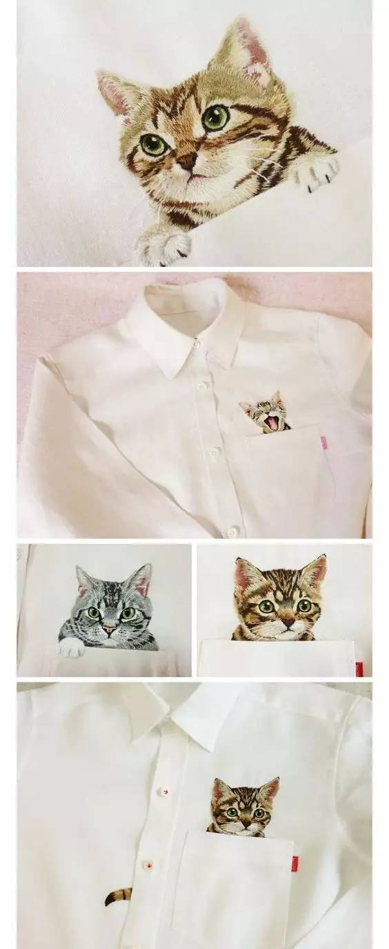 口袋里的猫,口袋里的猫萌萌