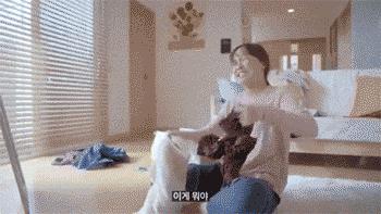 中国最慢的快递是圆通的吗,国内最慢快递公司