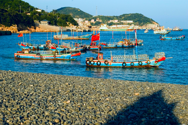 时已立冬,浙些美景再错过就要等明年了!