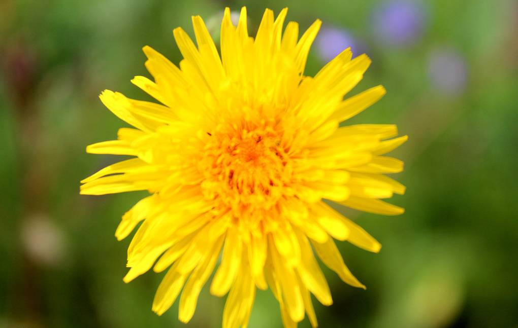 这5个姿势毁了你的健康,8个小动作换来大健康