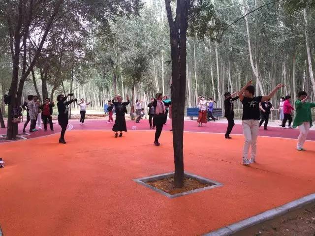 包头市新建体育公园,包头体育公园开始建了吗