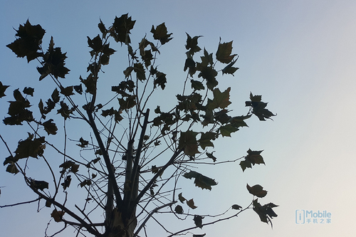 魅族PRO6Plus评测：后知后觉真旗舰