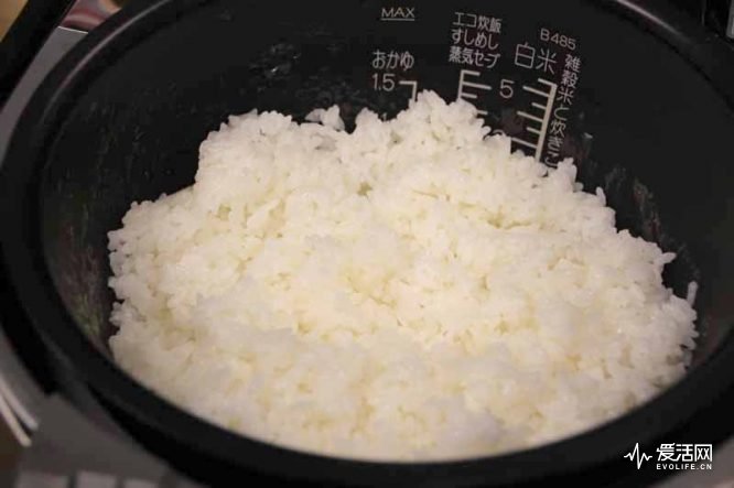 日本电饭煲排行榜第一名,日本电饭煲煮饭对比