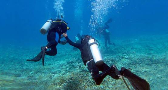 萌萌哒海狮空降海口，竟然还有这样的水上活动！