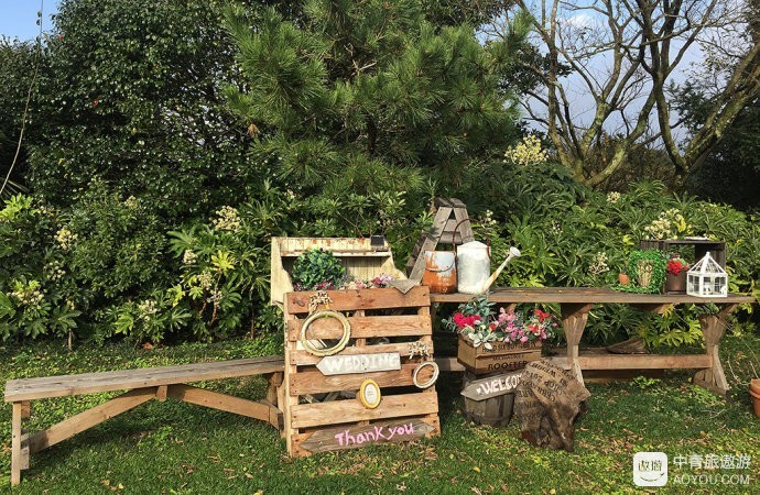 济州岛一日游必买清单,济州岛10大必玩景点