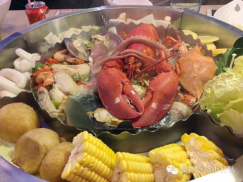 榄旈兘鐢熷瓨鎵嬪唽,榄旈兘鐢熷瓨鎸囧崡