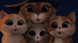 外贸原单正品尾货如何鉴别,外贸原单和跟单区别是什么