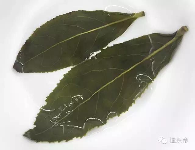 卷茶和条形茶的区别,茶的种类不同是因为品种不一样吗