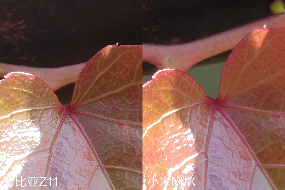 努比亚拍照对比小米14ultra,努比亚z60对比x100拍照