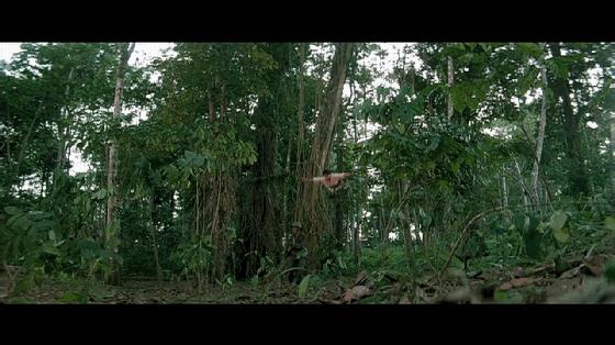 东方秃鹰洪金宝完整视频,东方秃鹰洪金宝的作品大全