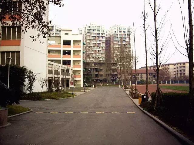 成都四七九有多厉害,成都四七九高中