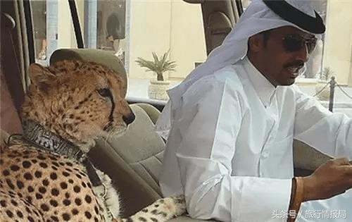 关于迪拜你不知道的15件事,迪拜你不知道的事儿