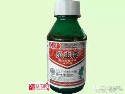 养鱼的专业助手,那些你不知道的有趣软件