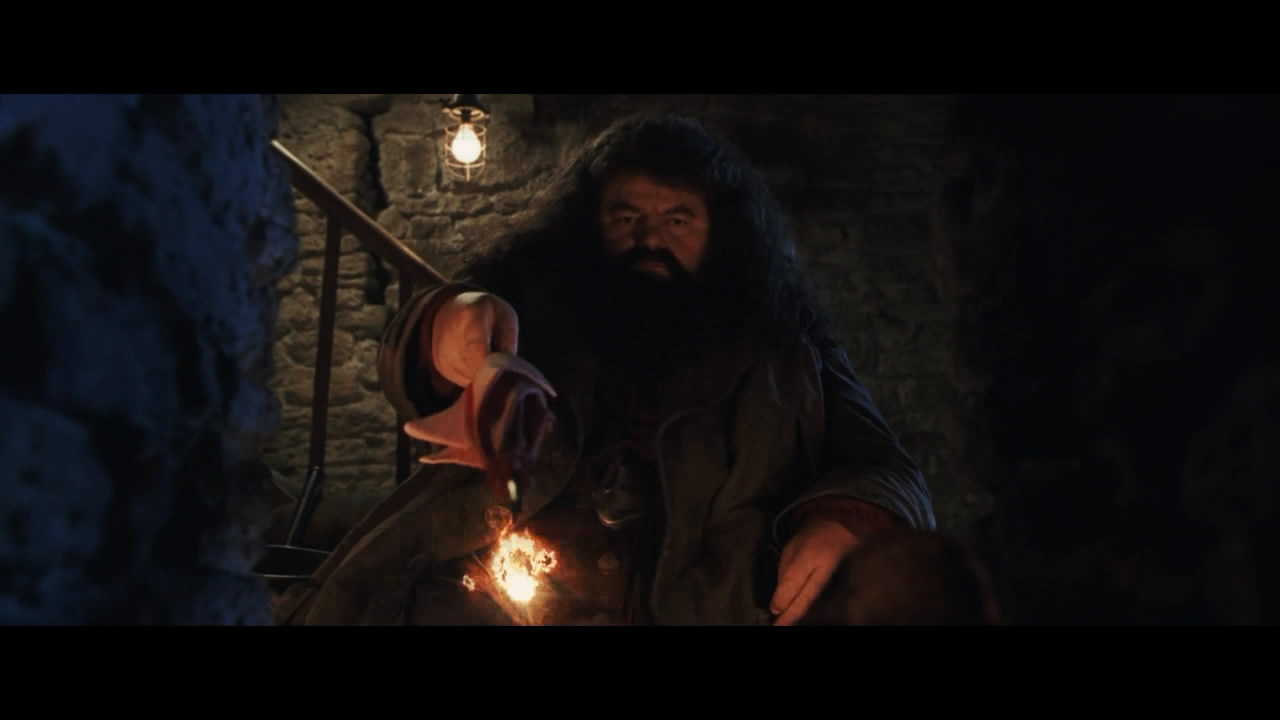 你还记得那颗干鼻屎味道的多味豆吗