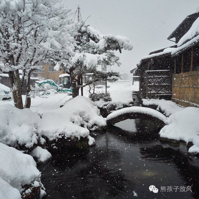这个冬天我们一起去日本看雪,去日本看雪景哪个地方好