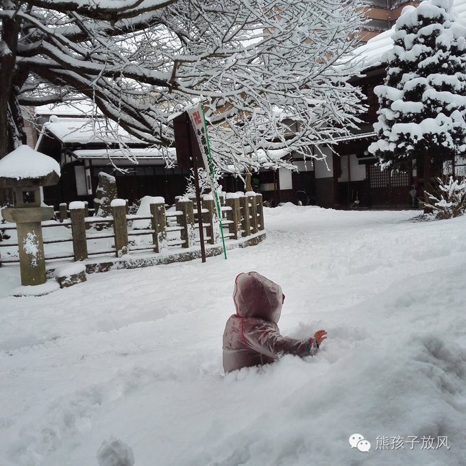 这个冬天我们一起去日本看雪,去日本看雪景哪个地方好