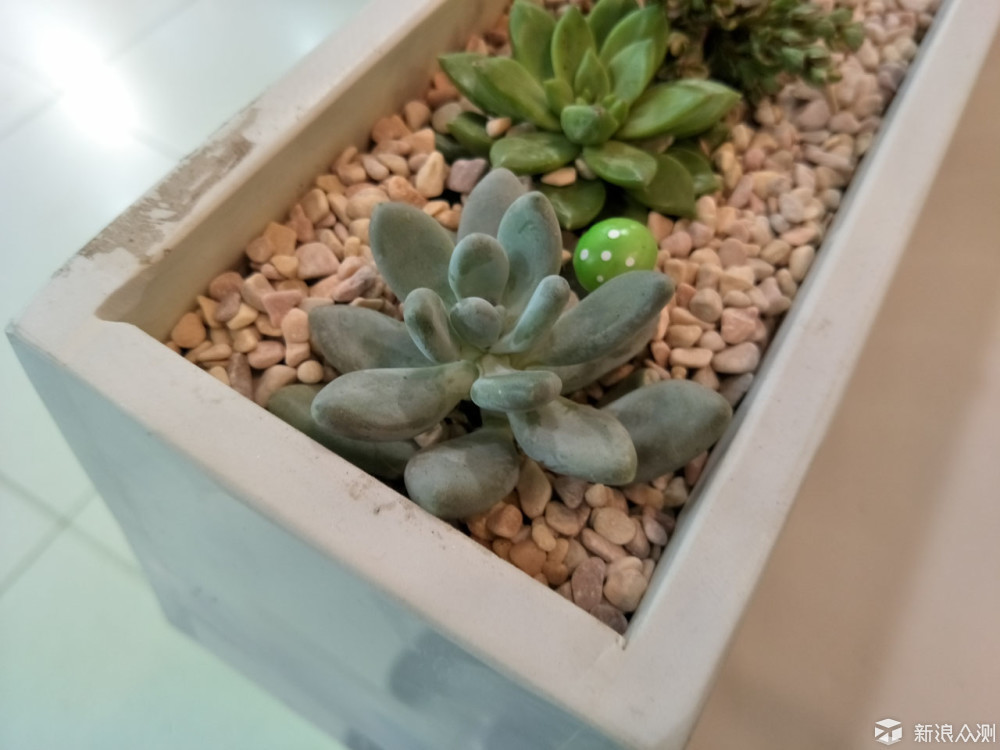 oppor9s值得入手吗,oppor9splus