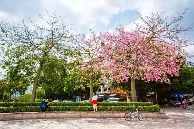 在广州生活是什么体验,广州生活体验