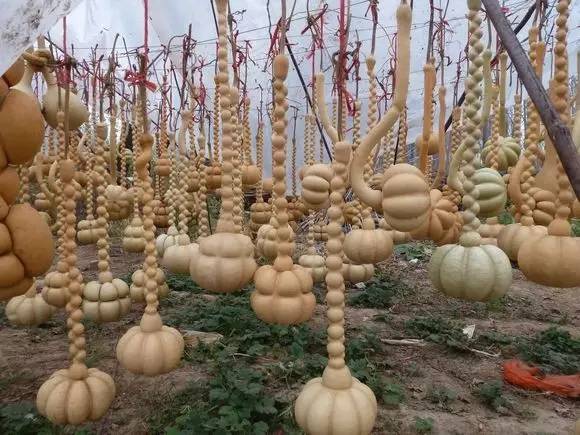 葫芦和如意哪个寓意更好,有寓意福禄满满的小葫芦