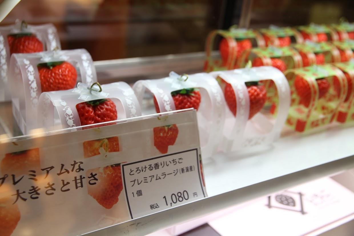 手绘旅行日记岳阳楼,手绘旅行日记图片模板