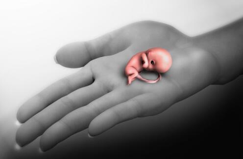 自然流产什么因果,自然流产的危害到底有多大