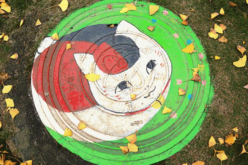 全国十大最美银杏大学,全国最美银杏大学