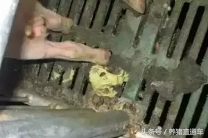 产房腹泻的治疗方法,产房肚子胀气治疗方法