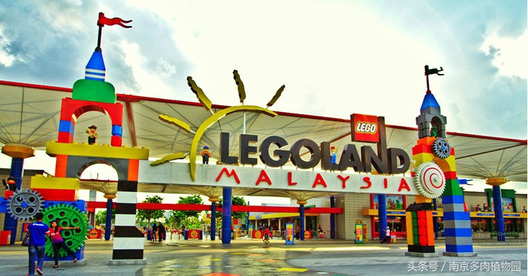 乐高积木成人款植物多肉,小玩具乐高