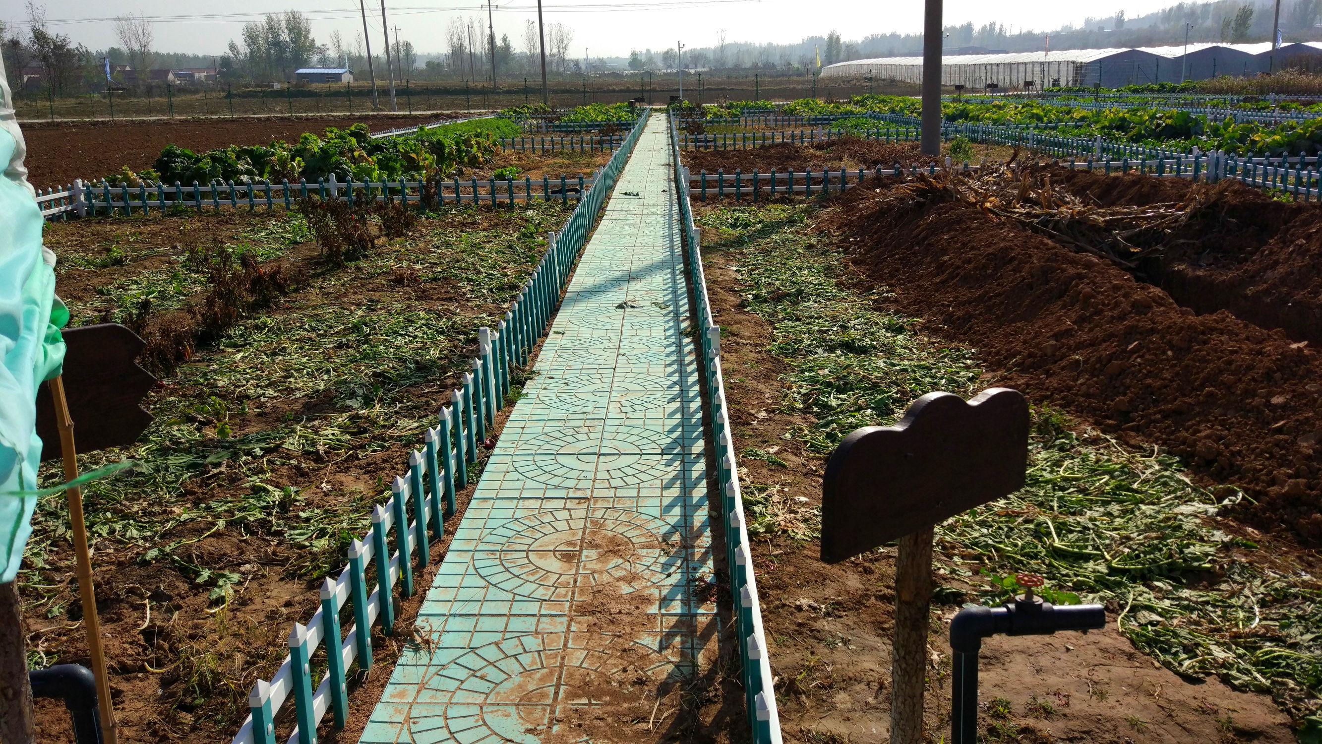 青州赤涧村数字乡村建设心得体会,青州弥河赤涧村