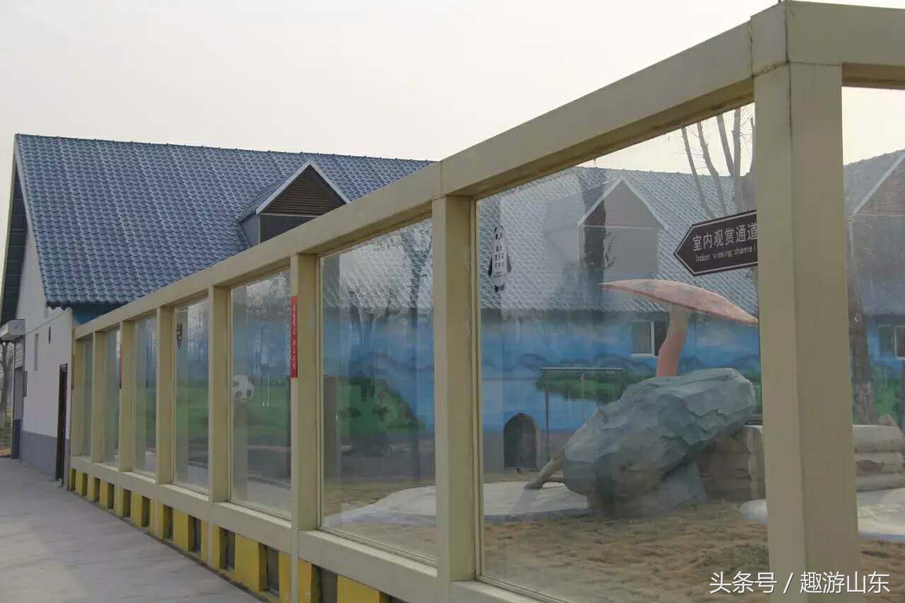 德州生态动物园,德州动物园布局