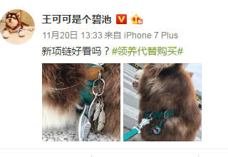 王思聪敢给王可可买这条狗链，看来是决定挑衅整个娱乐圈了
