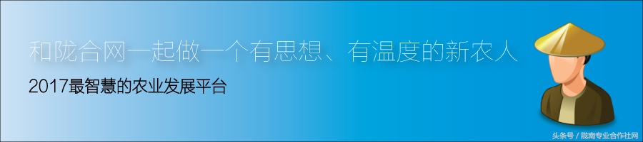 家庭农场营业执照验资,家庭农场验资报告