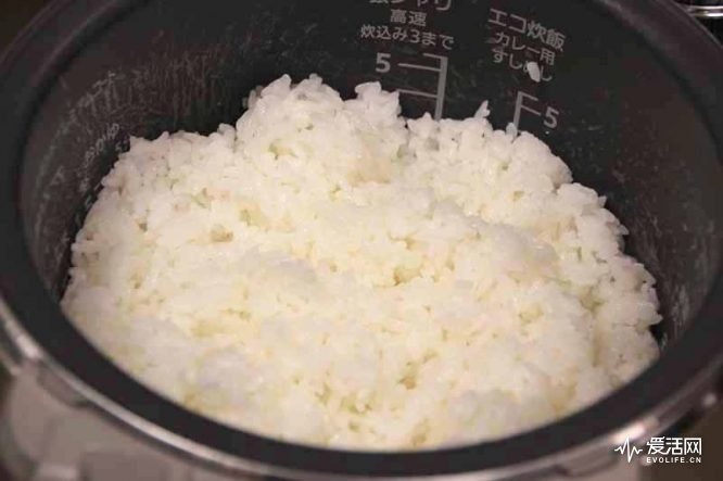 日本电饭煲测评排行,电饭煲哪个牌子的煮饭最好
