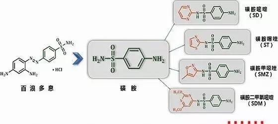 磺胺过敏吃什么药可以缓解,磺胺过敏禁用哪个利尿剂