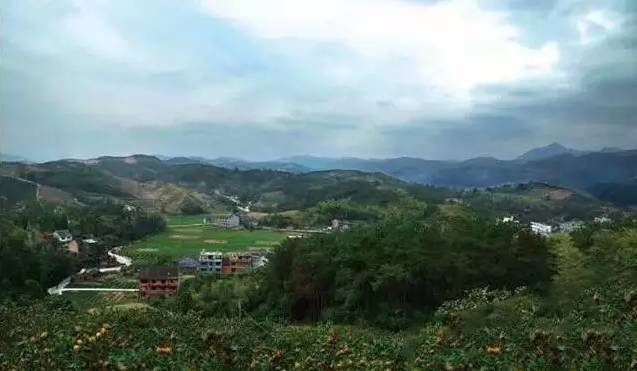 福鼎风景好的村庄,福鼎乡村旅游景点推荐