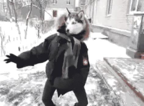 如果觉得国庆7天短,接下来你会知道7天有多长