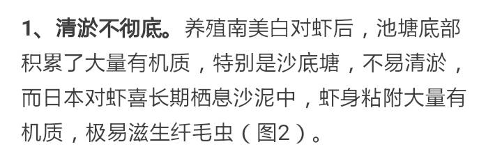 对虾纤毛虫哪个阶段比较容易出现,怎样防治对虾的孢子虫