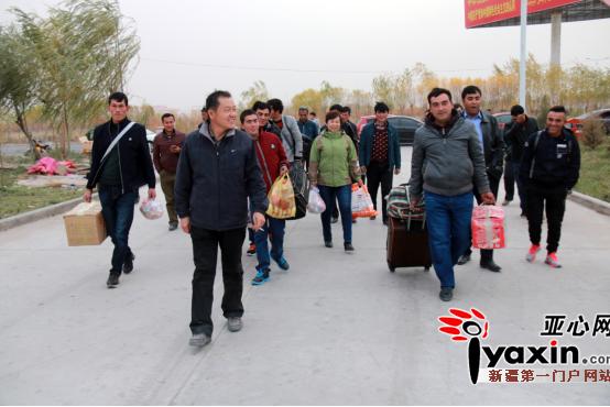 发展赛鸽养殖助力贫困户脱贫致富,新疆新和县小鸽子带动大产业视频