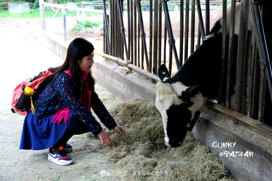 垦丁到花莲旅游攻略一日游,垦丁到高雄一日游攻略路线