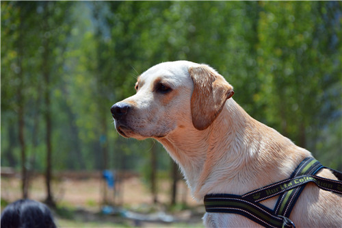 嬉水节巡游活动现场,嬉水节活动总结